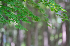 2020_井頭公園(3)