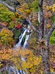 2021-11-03_霧降の滝-3