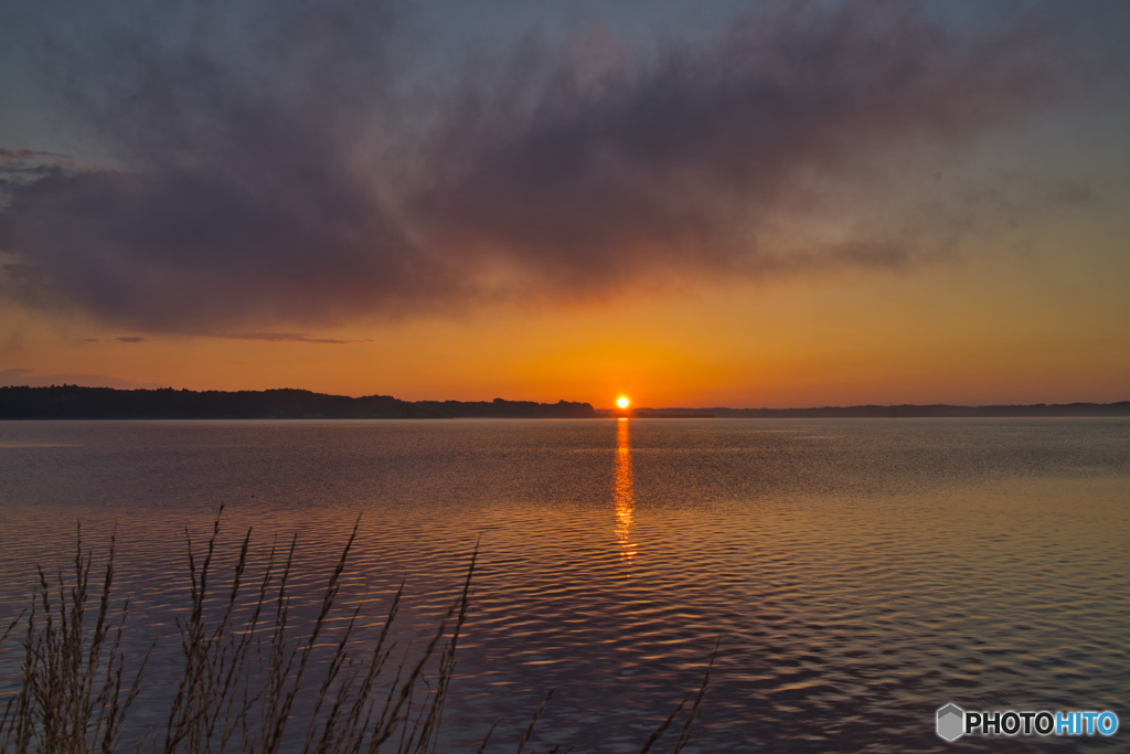 2020-06-20_涸沼(9)