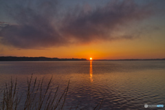 2020-06-20_涸沼(9)