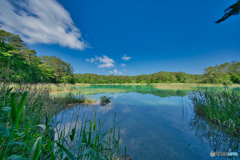 2020-06-21_五色沼_弁天沼(2)