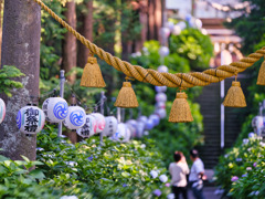 2025-06-29_磯山神社-1
