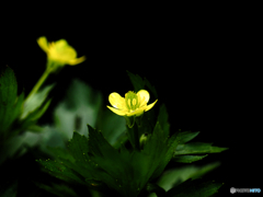 2021-04-24_井頭公園