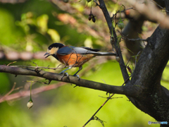 2021-10-03_近くの公園-1