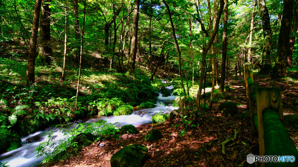 2021-09-19_尚仁沢湧水-2