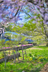 2025-04-27_会津長野駅(会津鉄道)