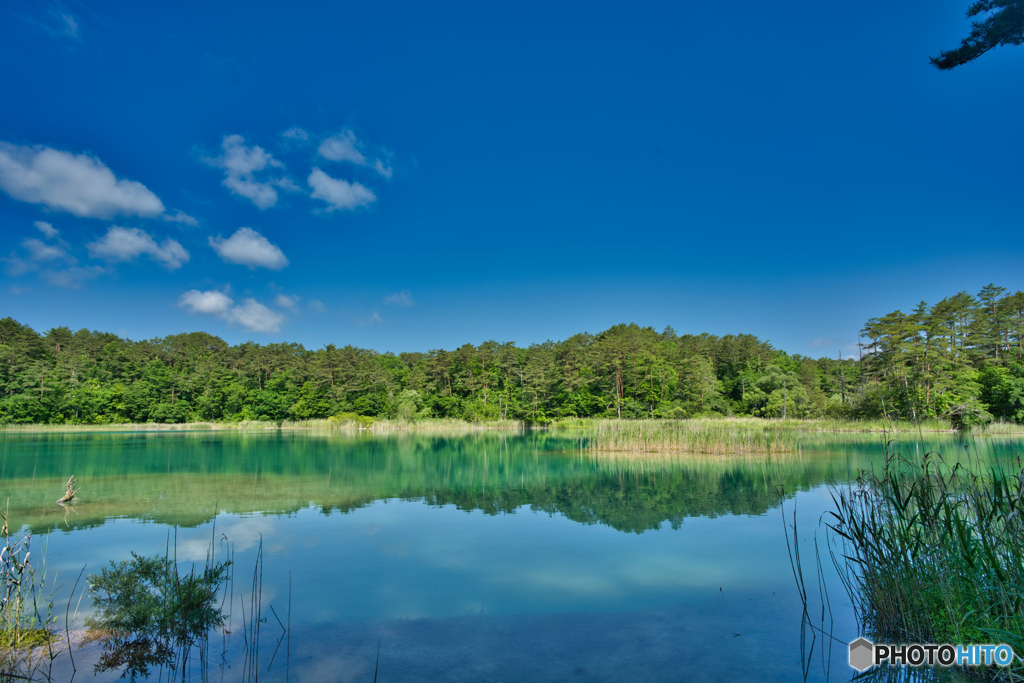 2020-06_五色沼_弁天沼(1)