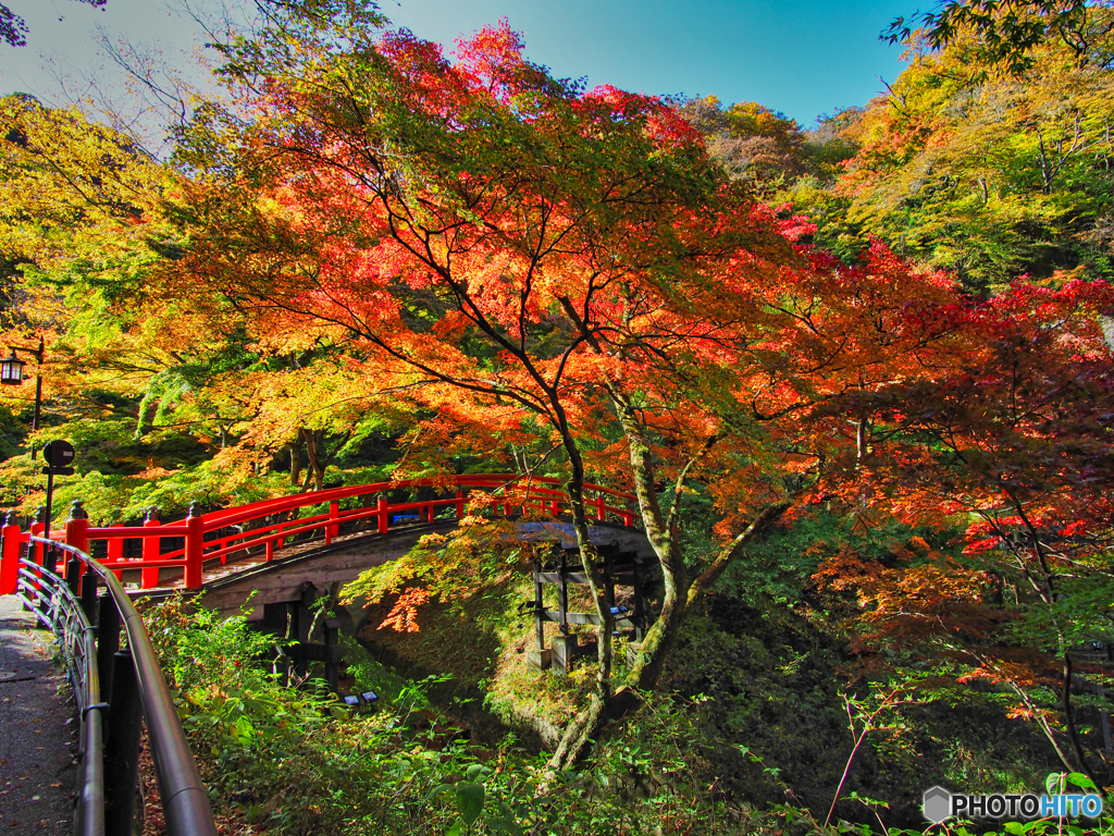 2020-10-31_伊香保温泉(4)