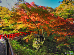 2020-10-31_伊香保温泉(4)