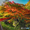 2020-10-31_伊香保温泉(4)