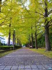 2021-11-03_宇都宮駅東公園