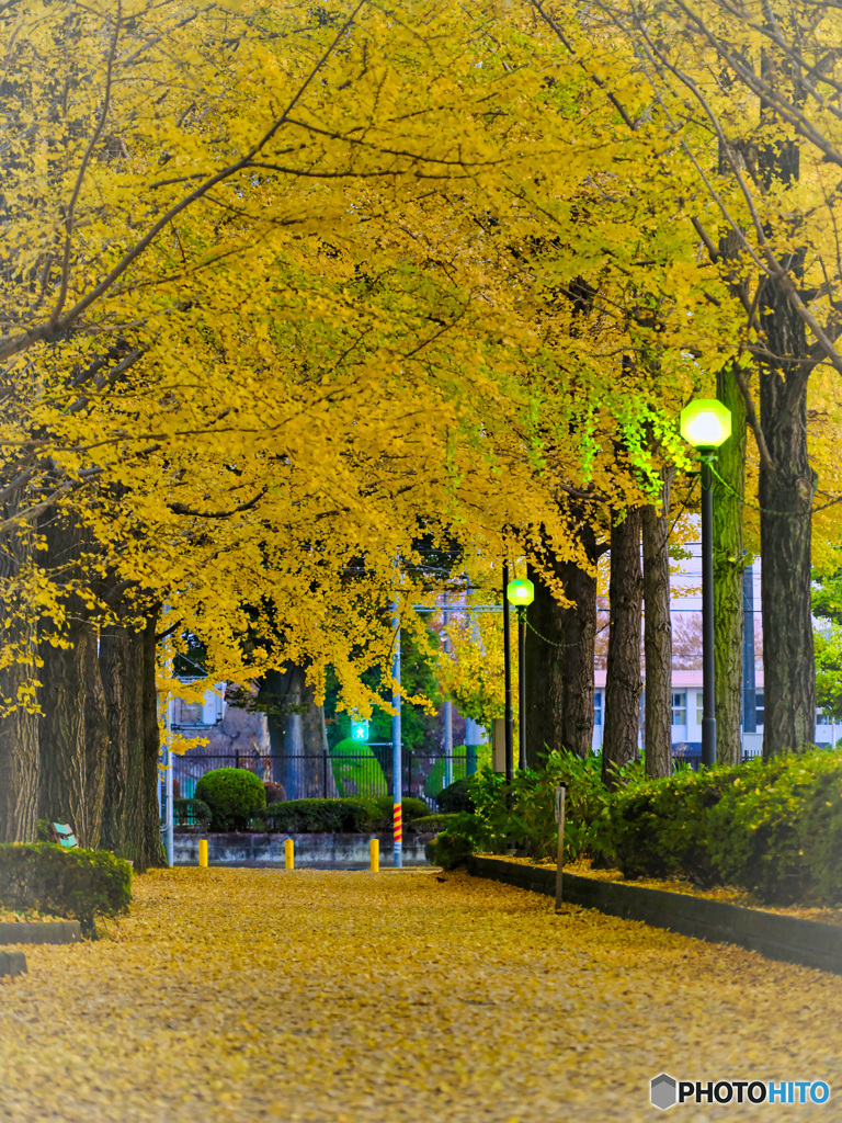 2021-11-19_宇都宮駅東公園