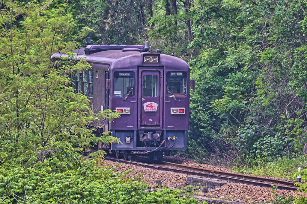 2023-05-21_松島橋(わたらせ渓谷鐡道)-2