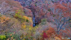 2022-11-03_駒止の滝観瀑台-1