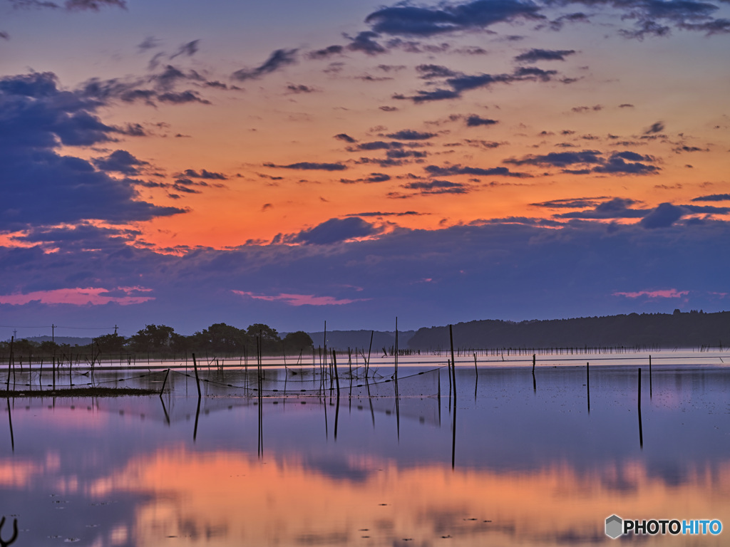 2022-05-03_ふな一貸船店(印旛沼)-3