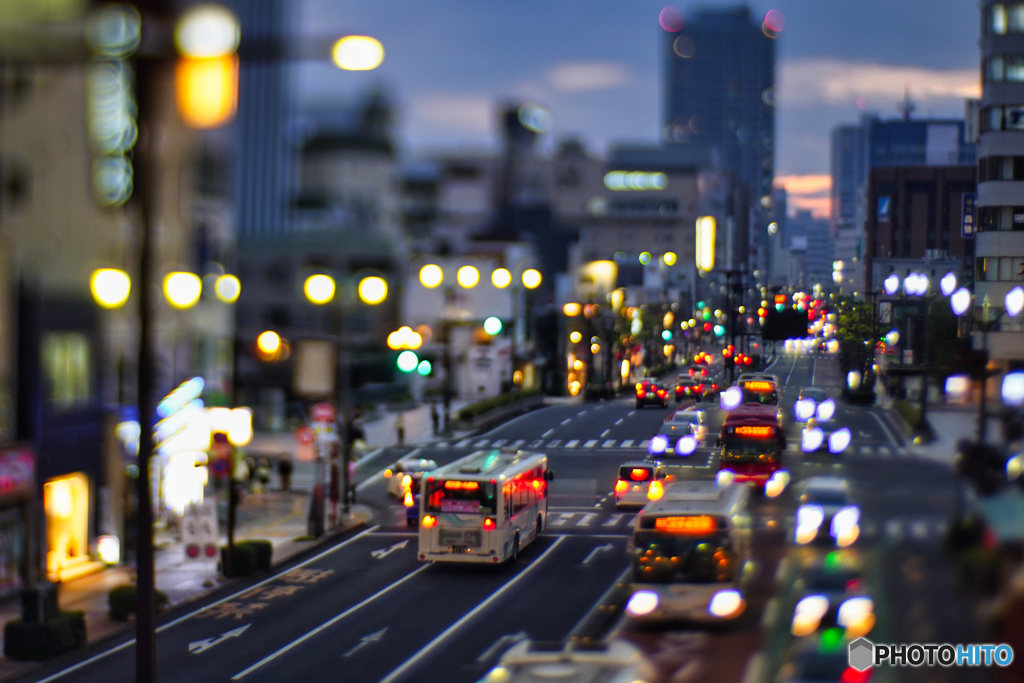 2022-10-22_宇都宮駅前大通り(GIZMON 50mm F1.6)