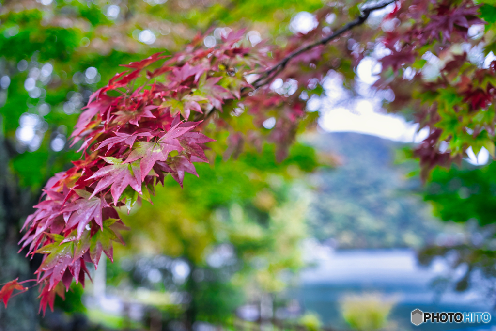 2020-10-09_中禅寺湖(1)