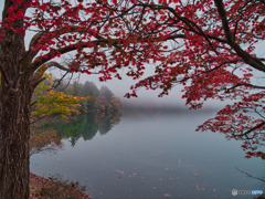 2021-10-12_湯ノ湖-2