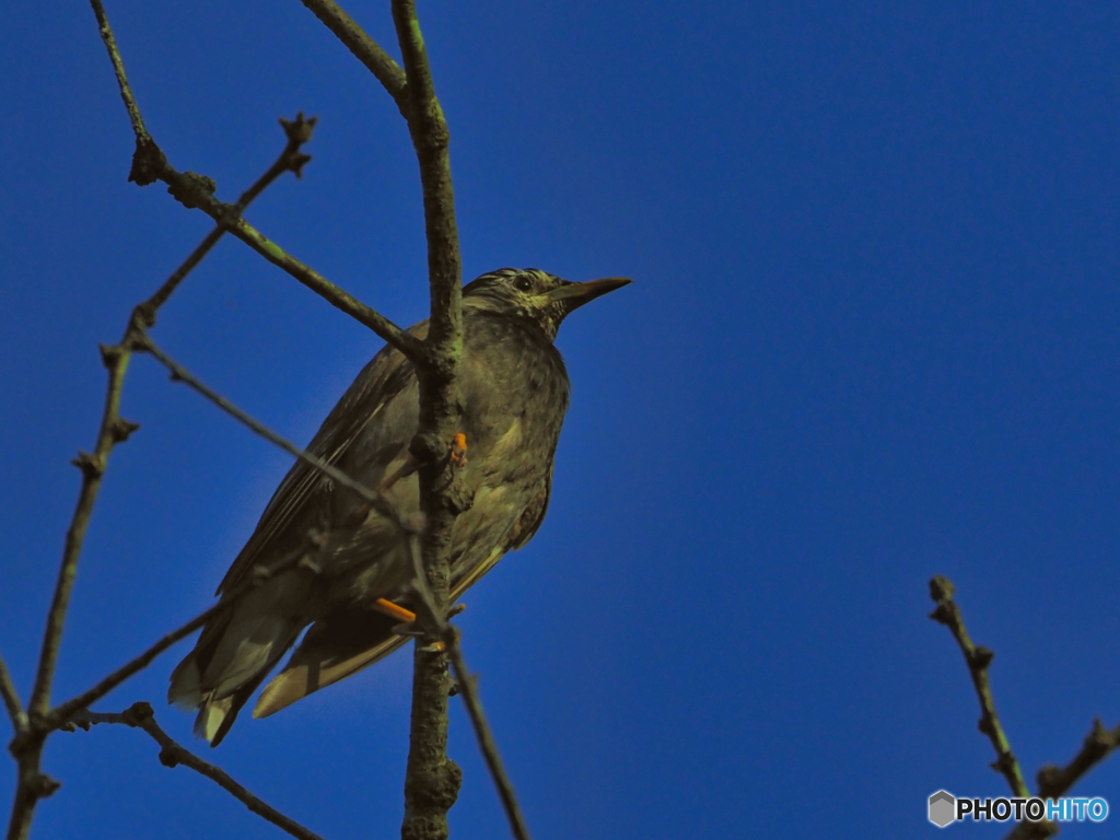 2021-07-19_朝散歩-1