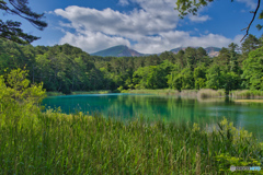 2020-06-21_るり沼(2)