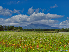 2021-10-02_そば畑と那須岳
