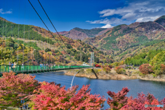 2020-11-03_もみじ谷大吊橋(2)