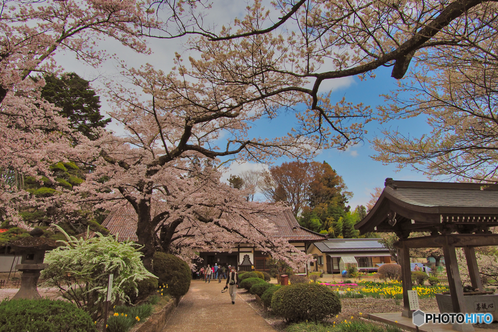 2021-04-02_最上稲荷大明神(1)