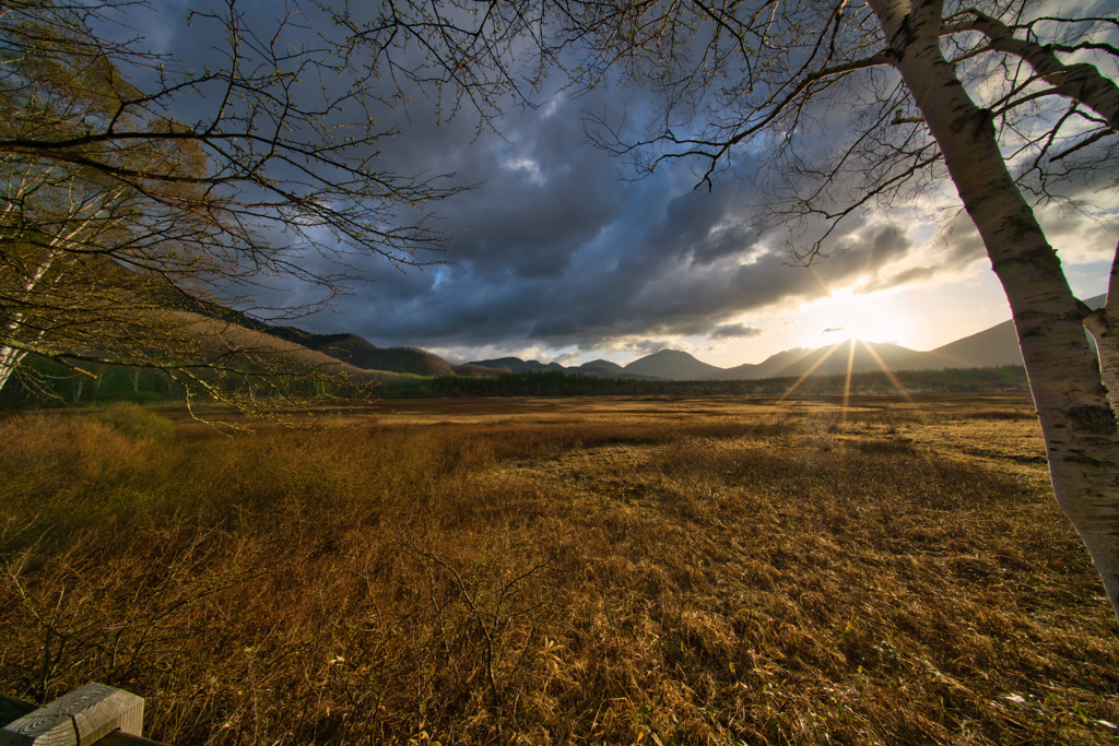 2020_戦場ヶ原(1)