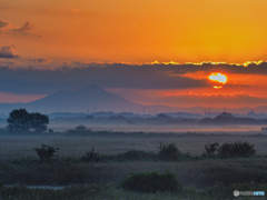 2021-10-03_渡良瀬遊水地