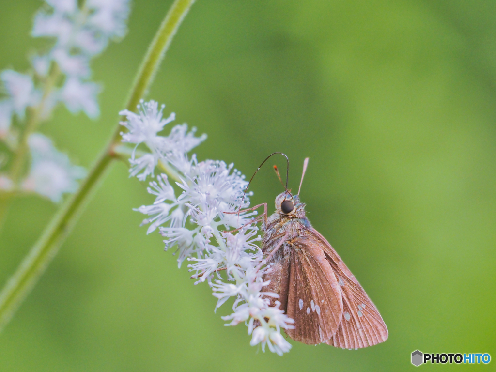 2021-07-03_井頭公園-1