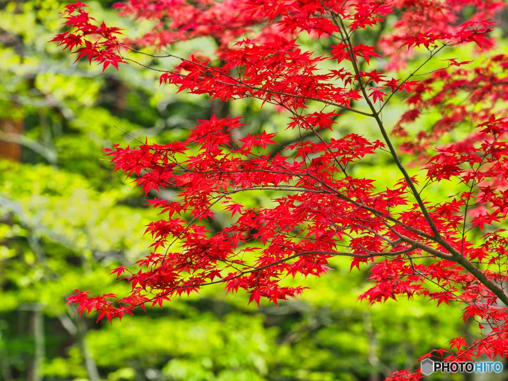 2021-05-01_塩原温泉-7