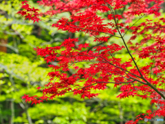 2021-05-01_塩原温泉-7