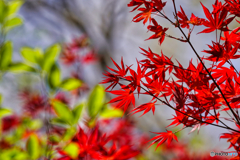 2021-05-01_塩原温泉-1