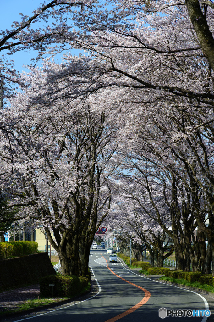 2023-04-01_栃木県農業試験場前道路