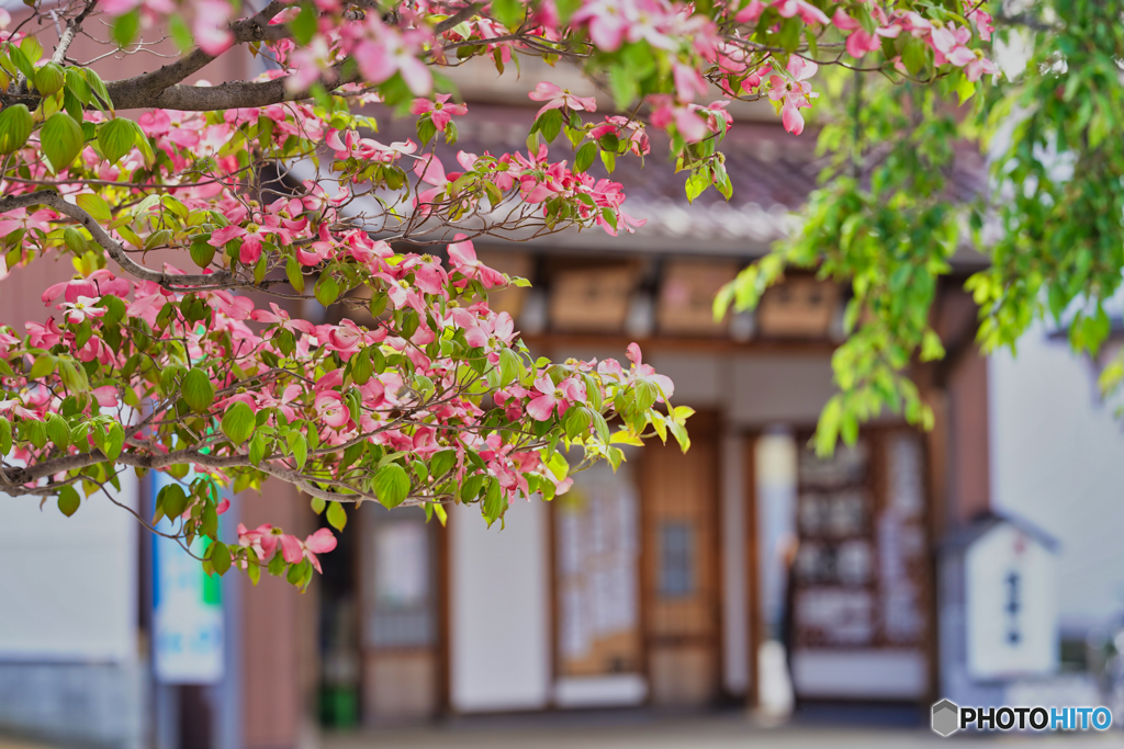 2021-05-08_七日町通り