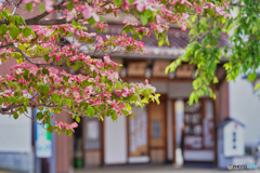 2021-05-08_七日町通り