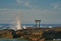 2020-06-20_大洗磯神社前鳥居(2)