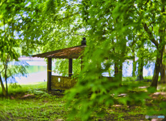 2022-05-08_宇都宮市森林公園-2