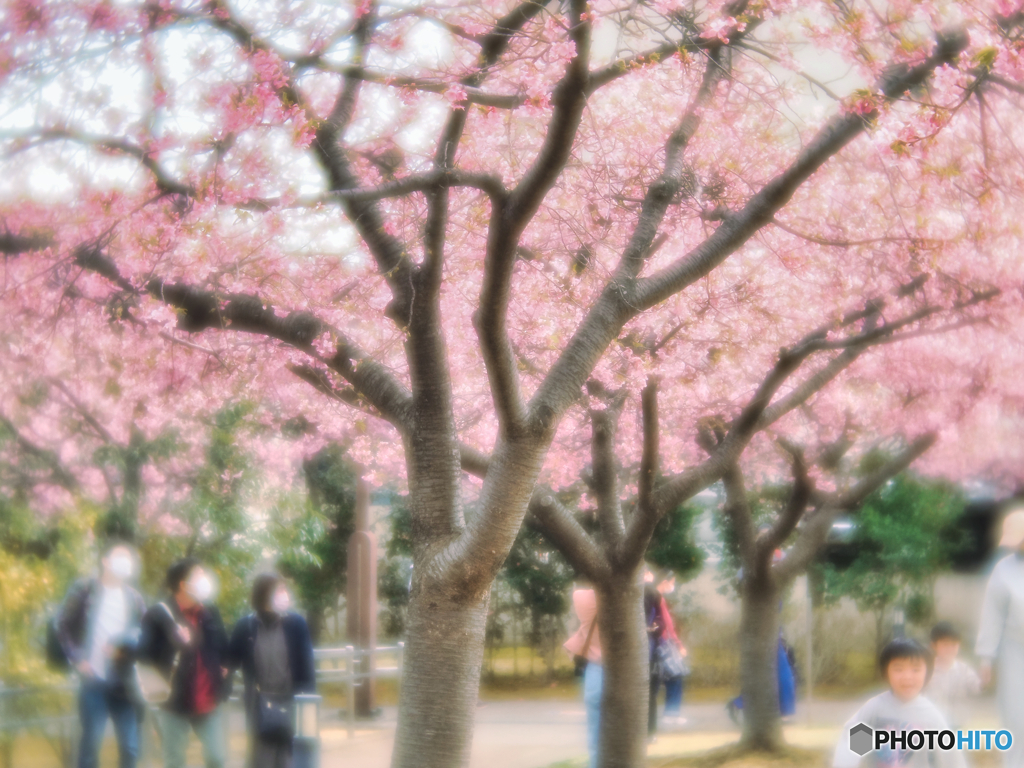 2022-03-20_宇都宮 城址公園-2