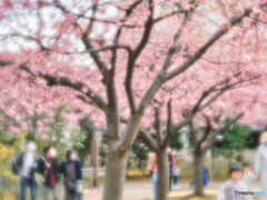 2022-03-20_宇都宮 城址公園-2
