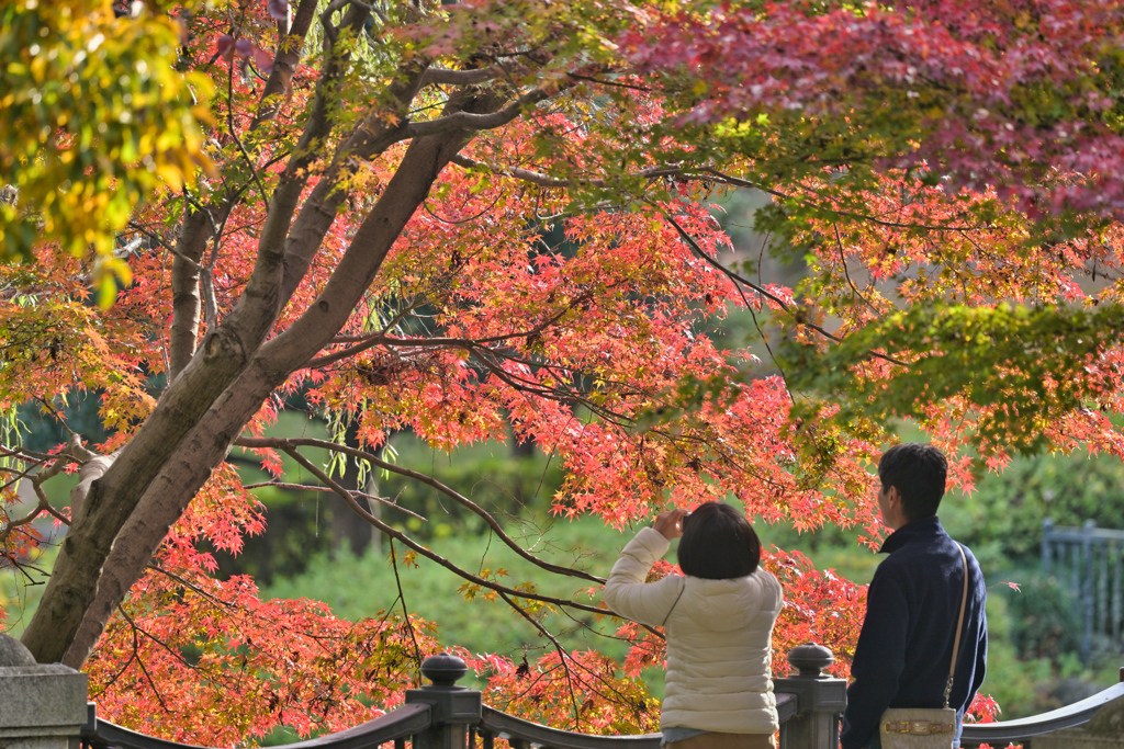 2023-11-23_栃木県 中央公園-3