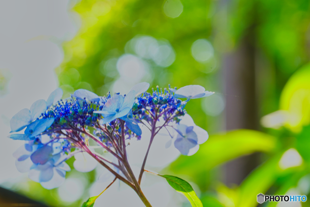 2021-05-30_太平山-1