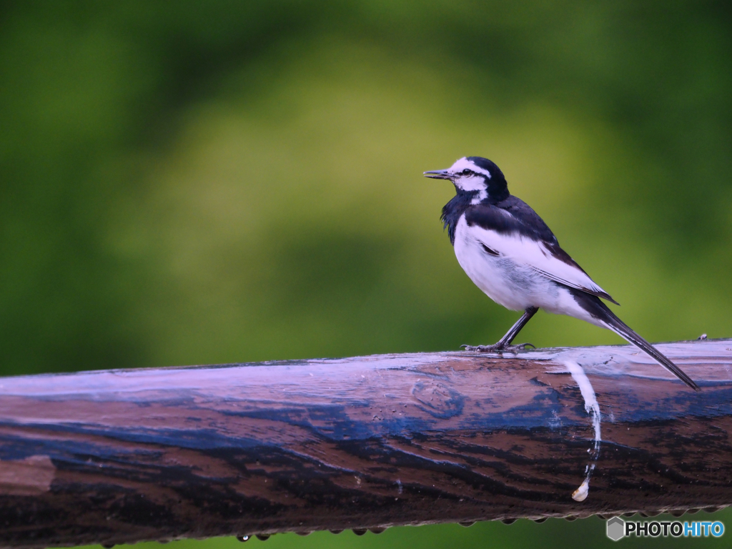 2021-07-10_湯西川温泉-1