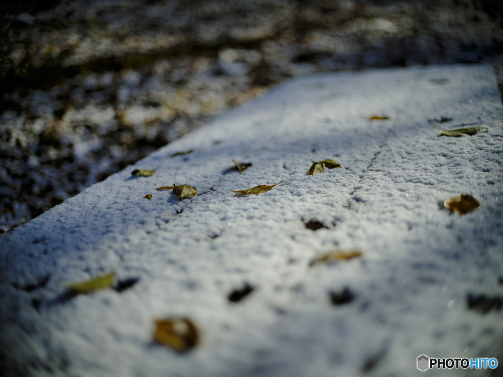 2021-11-28_銀山平公園-1