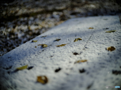 2021-11-28_銀山平公園-1