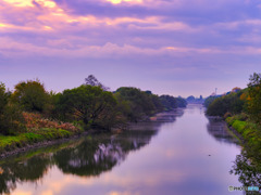 2021-11-16_渡良瀬遊水地(下宮橋)　Velvia