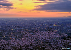 2022-04-03_太平山 展望台(蔵の町一望)-2