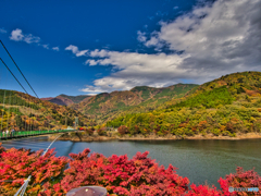 2020-11-03_もみじ谷大吊橋(3)