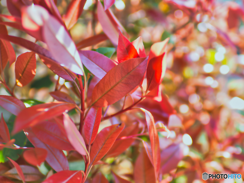 2022-05-02_七ツ岩吊橋