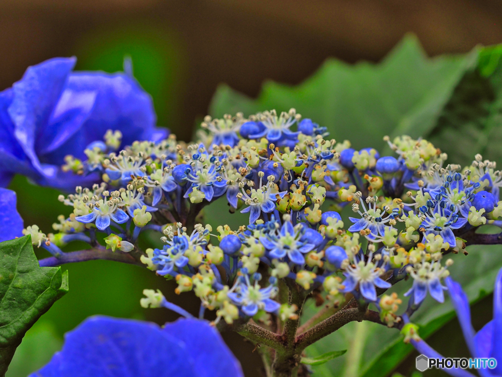 2021-06-26_磯山神社-3